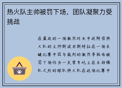 热火队主帅被罚下场，团队凝聚力受挑战