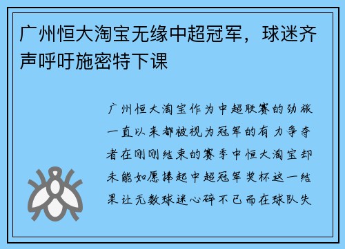 广州恒大淘宝无缘中超冠军，球迷齐声呼吁施密特下课